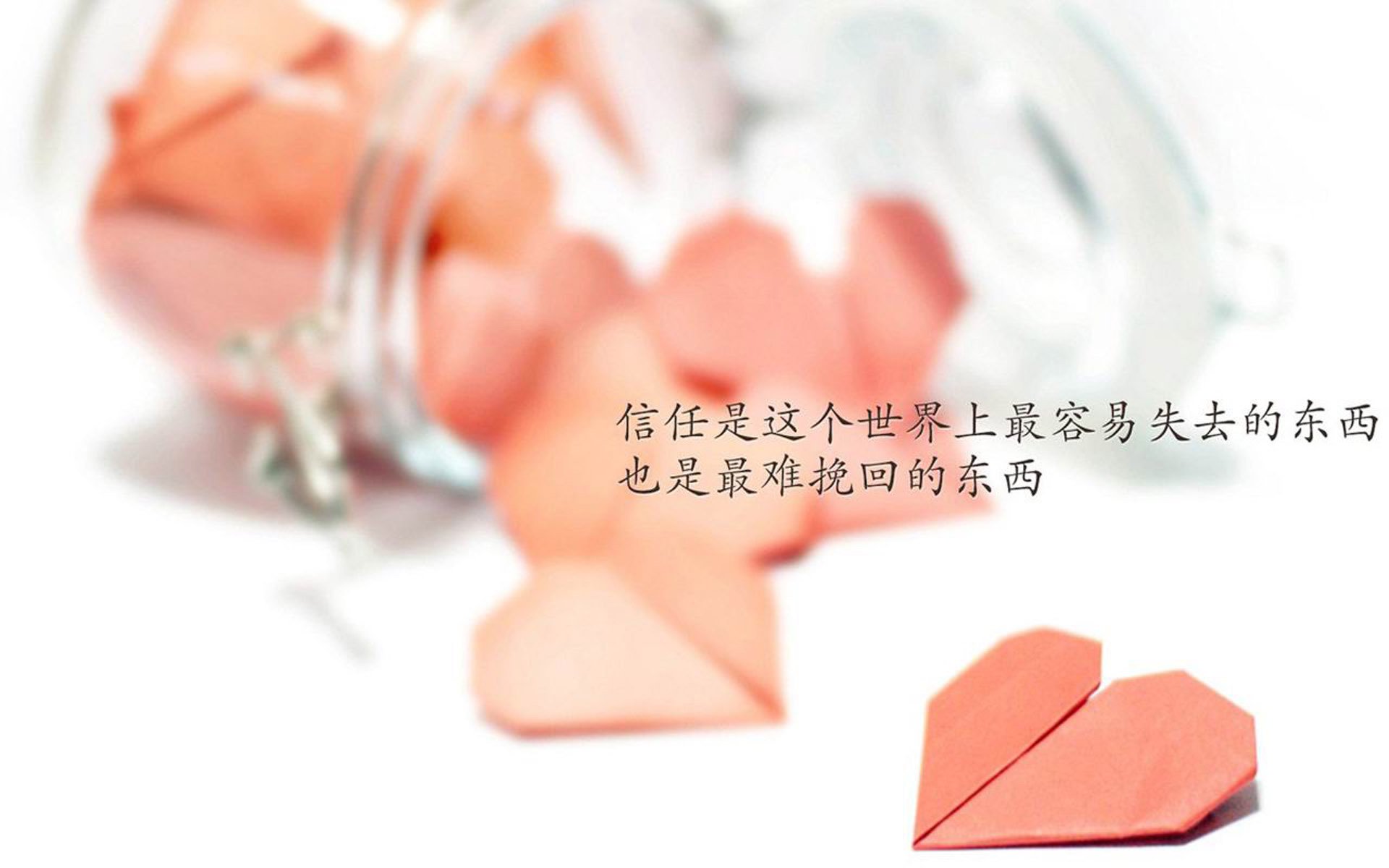 “未来之星：全国青少年足球明星争霸赛年度盛会”，全国校园足球未来之星