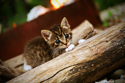 新人频现,中立B女队注入新活力,中立球队