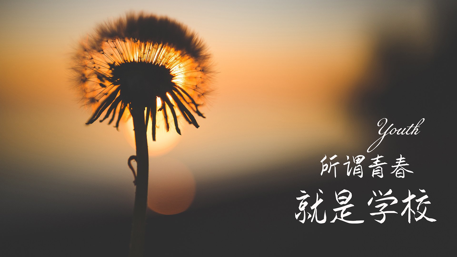 火箭球员伤情更新 预计缺席六周，火箭球员2021