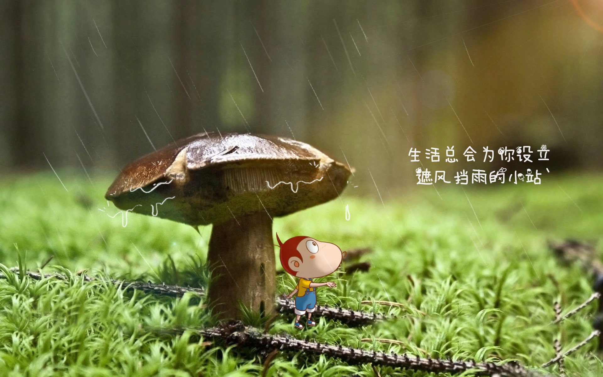 曹缘精彩动作赢得满堂彩,曹缘跳舞