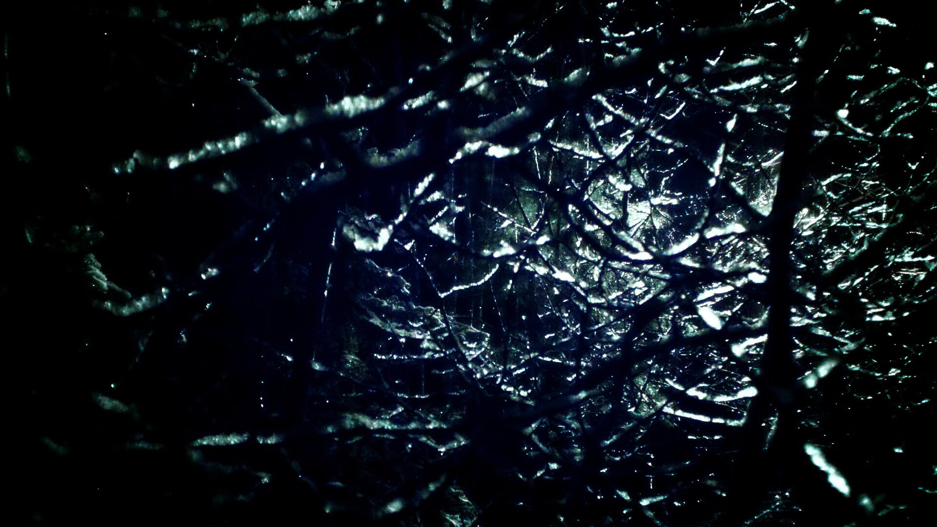 简：凭借极高的赛场嗅觉，打破对方防线助力全黑队获胜，简童百度百科