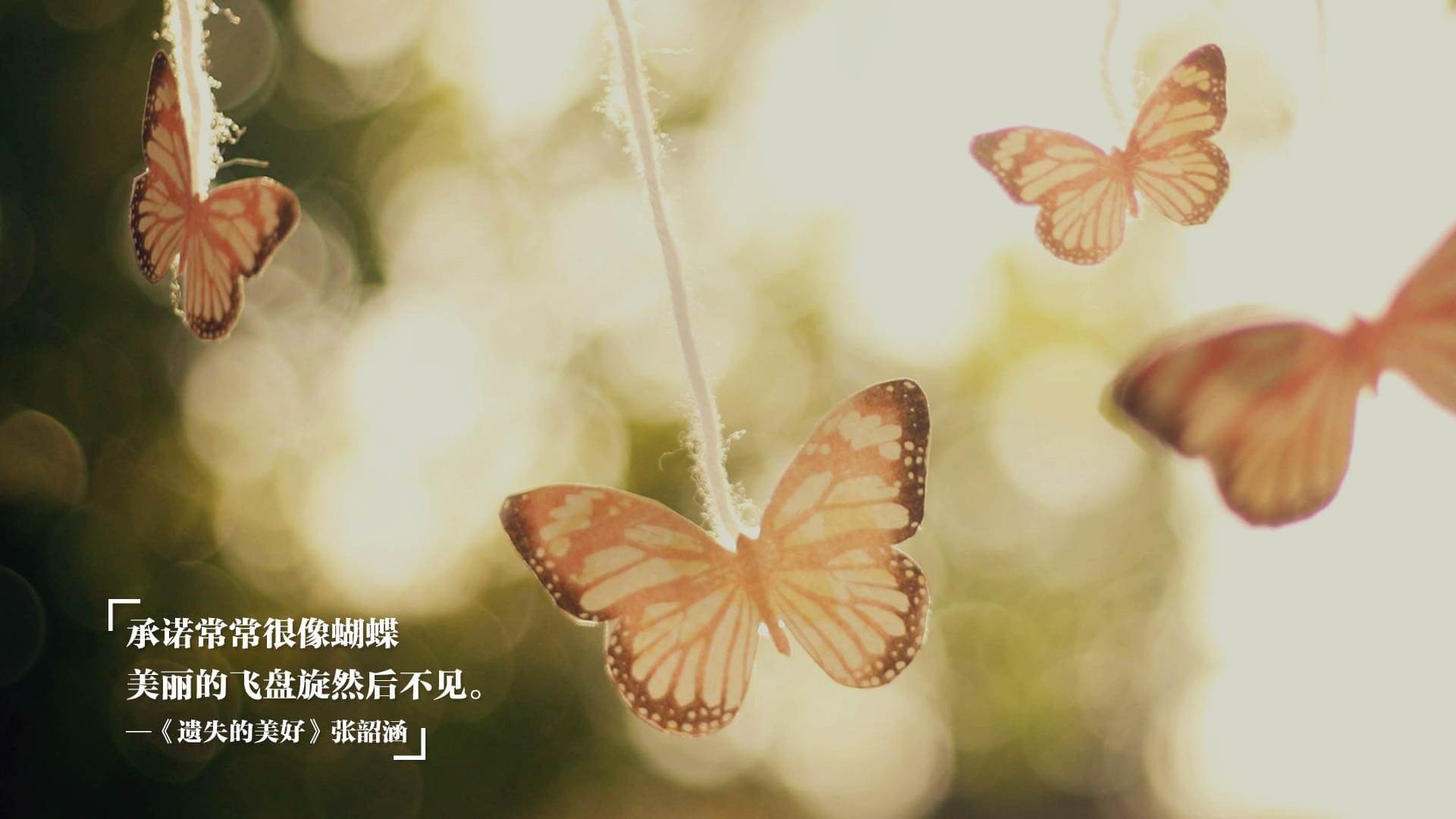 罗马尼亚水球比赛中略显劣势但精神顽强,罗马尼亚手球杯