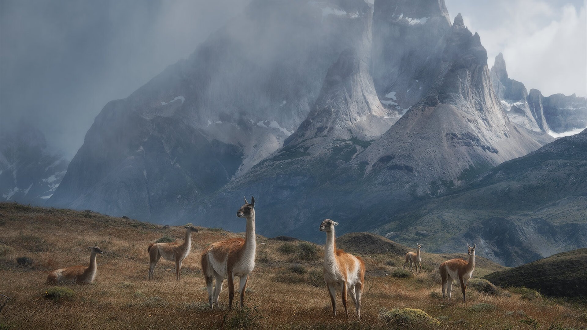 蒙古男篮在亚洲锦标赛中迎来突破,逐渐走向国际舞台